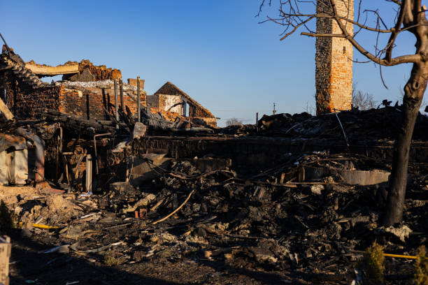 Reliable Content Restoration contractor in Woodstock, VA by Fire Damage Flint